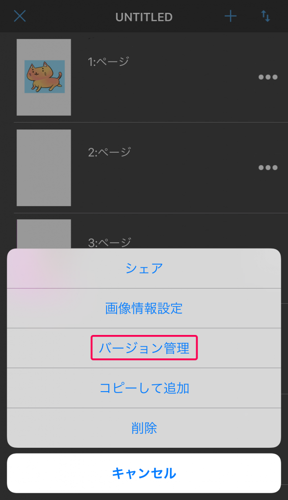 IMG_0423のコピー