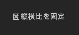 図形ブラシツールのオプション
