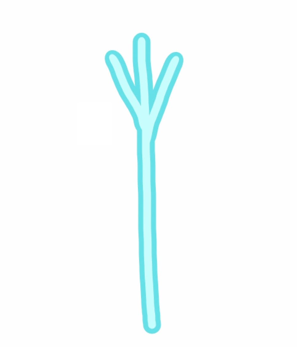 白い木（白樺）の描き方