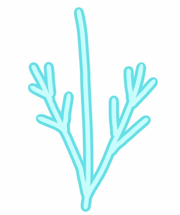白い木（白樺）の描き方